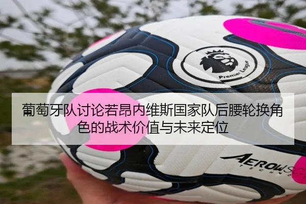 葡萄牙队讨论若昂内维斯国家队后腰轮换角色的战术价值与未来定位